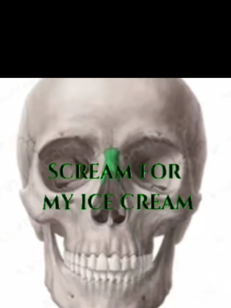 idk I'm probably milking my shit at this point 🤦 #bones #shitpost #cheekbones #beauty #bp 