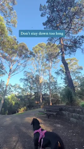 Don’t stay down too long babe ❤️ #MentalHealth #autoimmunedisease #myastheniagravis #fighter #survivor 