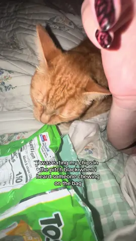 don’t worry i gave him a piece 