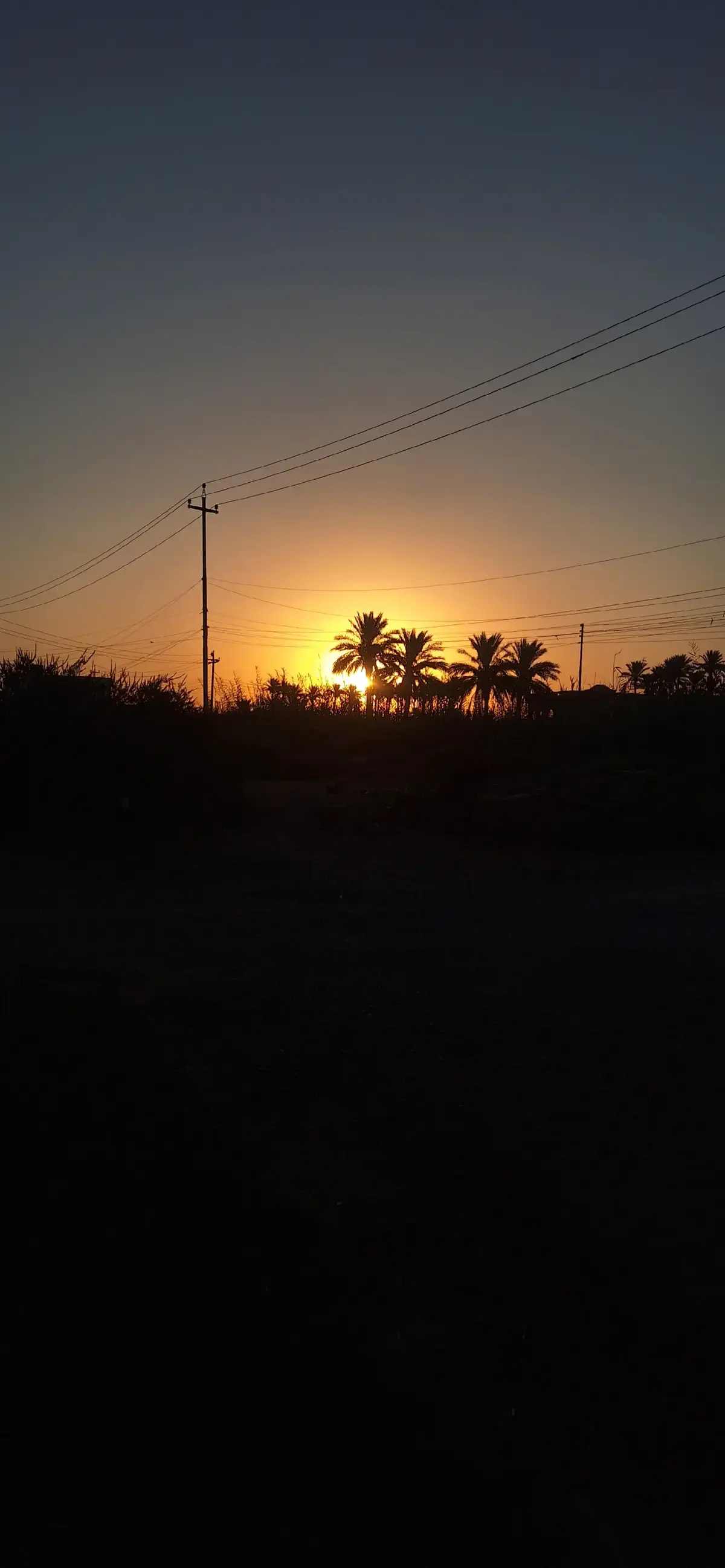 #الرمادي_شموخ_عزالانبار #تصويري_احترافي_الاجواء👌🏻🕊😴 #الانبار_موصل_بغداد_اربيل_كل_المحافظات #شعراء_وذواقين_الشعر_الشعبي🎸 #الناصريه_الشامخه👑🦅 