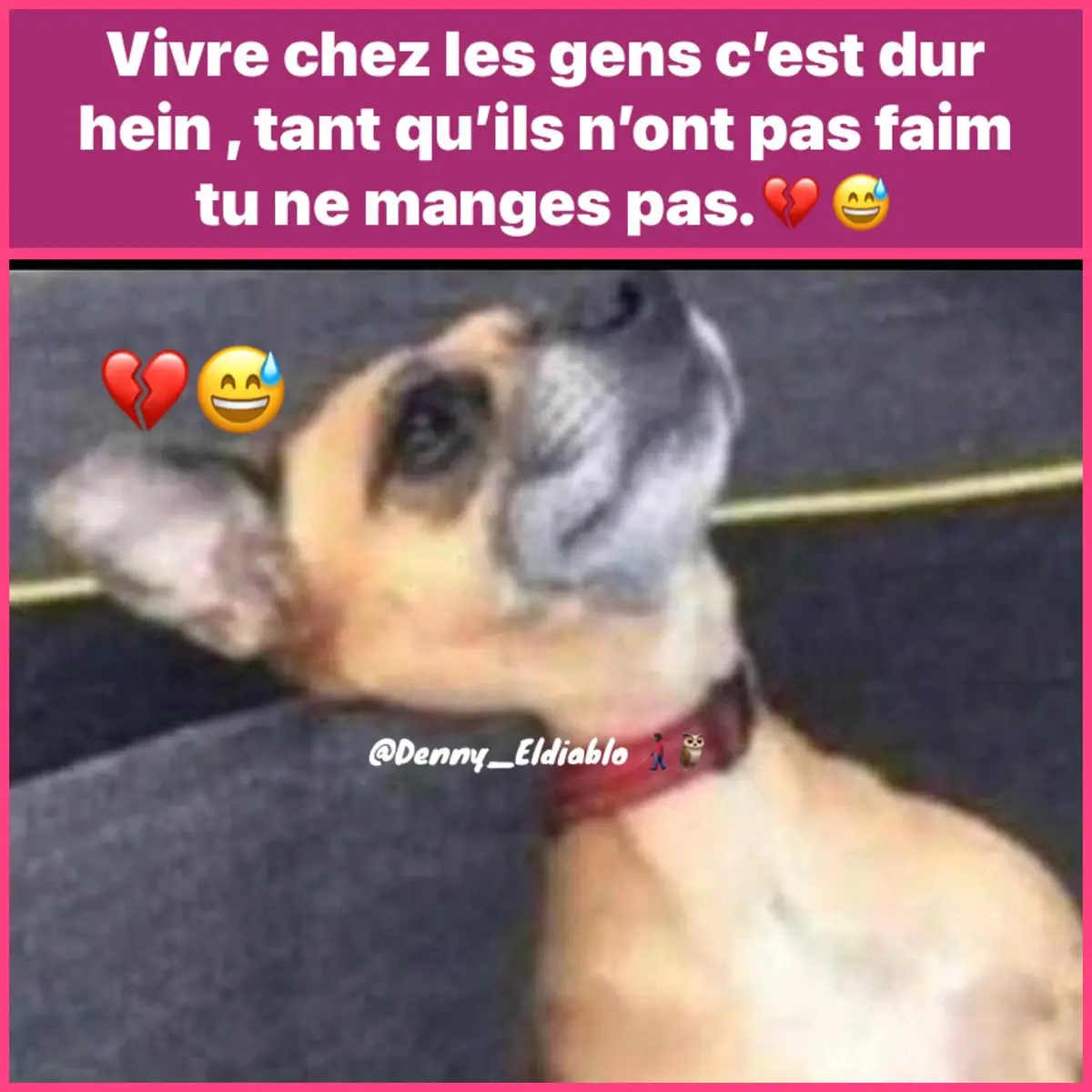 #coachdevie #humour #drôle #comédie #fyp 