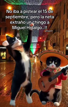 Mes patrio #15deseptiembre #tiktokindia #paratiiiiiiiiiiiiiiiiiiiiiiiiiiiiiii #lomasviral #tiktok 