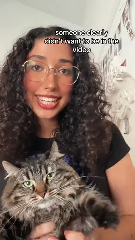 girlie had the AUDACITY to hiss at me😭 #cat #catsoftiktok #ilovemycat #relatable #mycatlovesmesometimes 