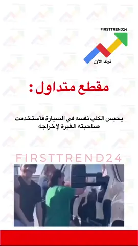 يحبس الكلب نفسه في السيارة فأستخدمت صاحبته الغيرة لإخراجه  #ترند_الأول #سناب_ترند_الأول #عاجل_الاخبار #عاجل_الان #عاجل 