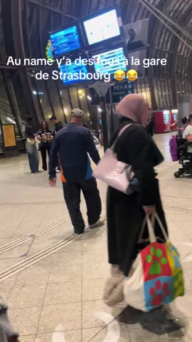 C’est des détraqués 💀#strasbourg #gare #piano #pourtoii @3nzo_. 