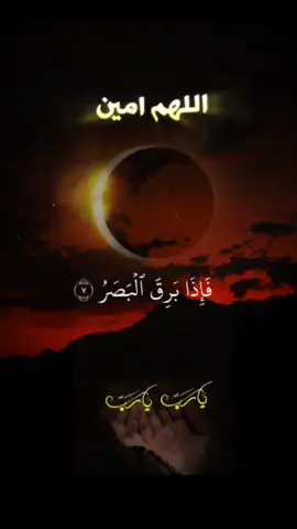 اللهم امين يارب 🤲🥹#دعاء #سعد_الغامدي #اللهم_صلي_على_نبينا_محمد #foryou #quran 