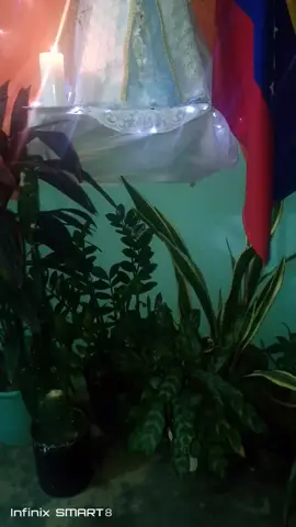 La imagen de la virgen María, de mi casa, bajo la advocación de la Santísima Virgen Del Valle del Espíritu Santo, lista para ser venerada.😍 La elección de María fue parte de un plan divino para la salvación del mundo, y su elección es vista como la culminación de siglos de preparaciones y profecías que anunciaban la llegada del Mesías, y por esa elección muchas personas la amamos y la respetamos, ella acepto con humildad la voluntad de Dios y es ahí donde se convierte en la primera cristiana, no solo acepta a Cristo en su corazón, también lo acepta en su vientre para que naciera de ella, nuestro Señor Jesucristo, que la santísima virgen María nos conceda la gracia de amar a Cristo como ella lo hizo✨ Que Dios nos bendiga siempre 😍✨🙏🏼🇻🇪 Roguemos por una Venezuela libre 🇻🇪🙏🏼