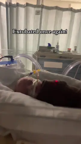 I’m so proud of him!  #nicu #preemie #34weeks #momtok #newborn 