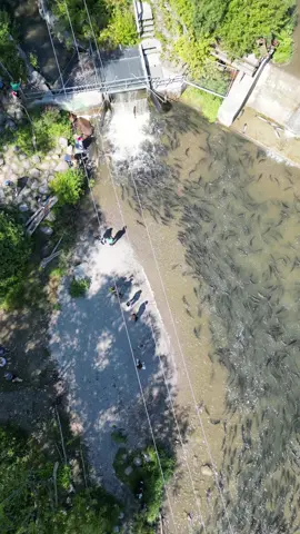 Salmon Run 2025 - Bowmanville, ON: https://www.youtube.com/playlist?list=PLta_uC8L1BOWa3dHmCVWShAqW5ddrM4lK . . . . . #drozwikdrones #discoverclarington #SmallBusiness #aerial #aerialview 