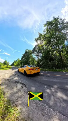 Should I bring it to Ja 🇯🇲🇯🇲🇯🇲🇯🇲? #jamaicantiktok🇯🇲viral #fypppppppppppppppppppppppppp 