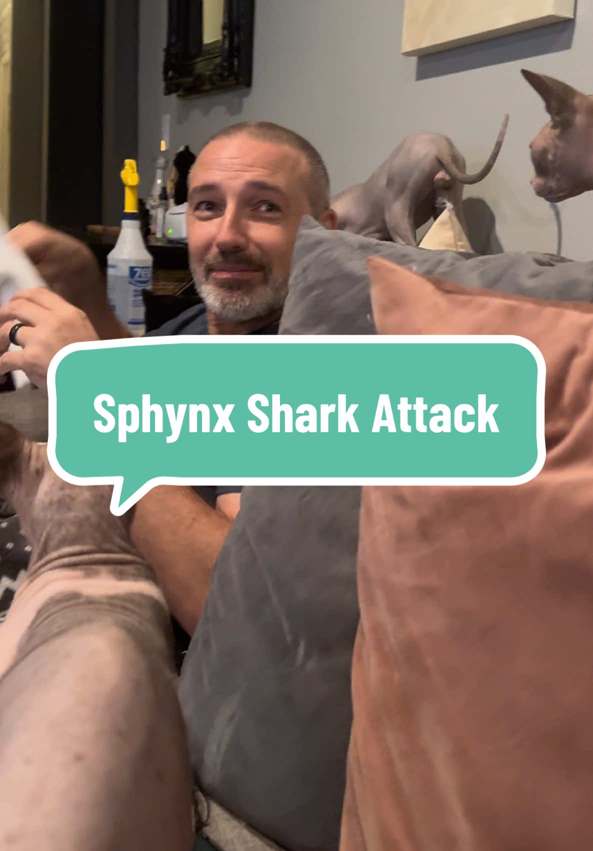 Cat Dad vs. six “starving” Sphynx sharks 🦈🍗 Sophie, Delta, Roger, Simon, Peggy, and Daisy aren’t letting him enjoy a single bite of those wings. The Jaws theme says it all—he’s surrounded and doomed 😂 This is exactly why Cat Mom sticks to salads instead…  #sphynx #chickenwings #fyp #foryou #viral 