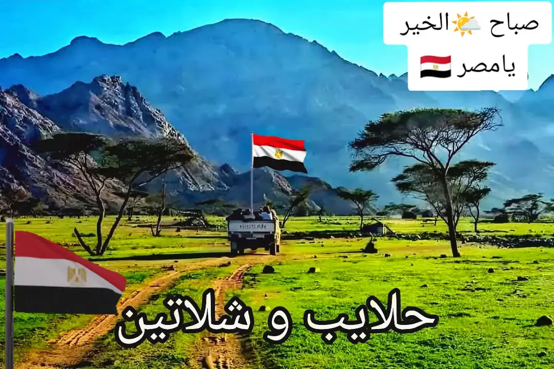 🇪🇬✨ حلايب وشلاتين أرض الأصالة والجمال من قلب الجنوب المصري على ساحل البحر الأحمر 🌊 مصر من حلايب لشلاتين 💯❤️ #حلايب_وشلاتين #مصر #الصعيد #الجنوب_المصري #البحر_الأحمر       🇪🇬  💪  ❤️  ✨  🔥  ✌️  🇸🇦  🇵🇸  🇱🇾  🇦🇪  🇰🇼  🇧🇭  🇯🇴  🇮🇶  🇸🇾  🇱🇧  🇲🇦  🇹🇳  🇩🇿  🇸🇩  🇾🇪  🇴🇲  🇶🇦  🌍  ✨  💚  🤲  ❤️