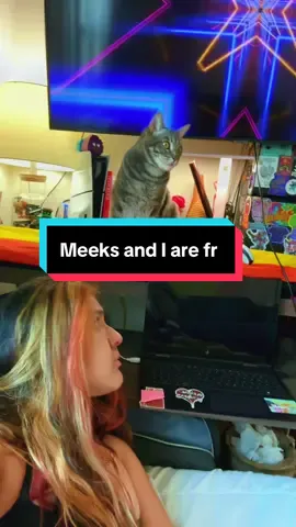 She’s literally special #fyp #cat #kitty #PetsOfTikTok #catsoftiktok 