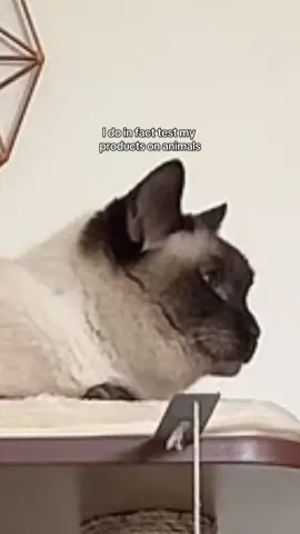 #reiki 