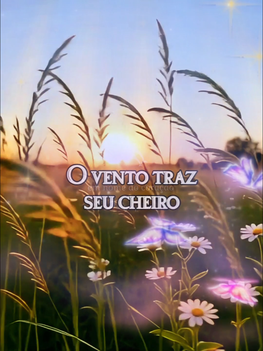 O vento traz... #EmNomeDoCoração #ReflexãoDaAlma #PalavrasQueTocam #MensagemInspiradora #SoproDeVida