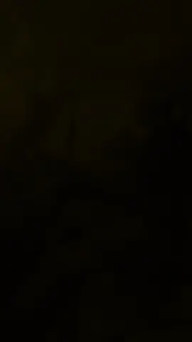 #CapCut 