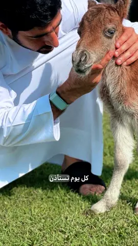 #CapCut #اللهم_صلي_على_نبينا_محمد #اللهم_صل_وسلم_على_نبينا_محمد 