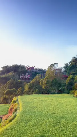 Toraja is beautiful 😍#torajasulawesiselatan #toraja #loriuvilla_lolai #wisatatoraja #vickysalamor 