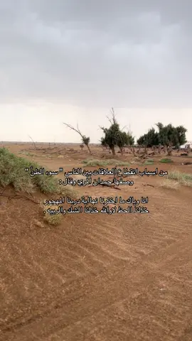 #قصايد #fyp 