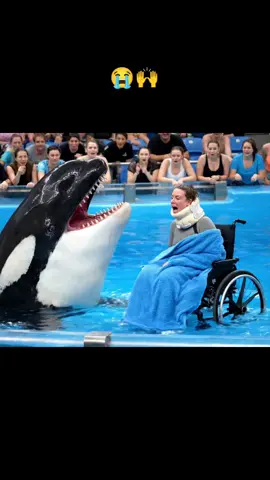 #orca #orcakilljessica #trendingvideo #fpyシ #viralvideos 