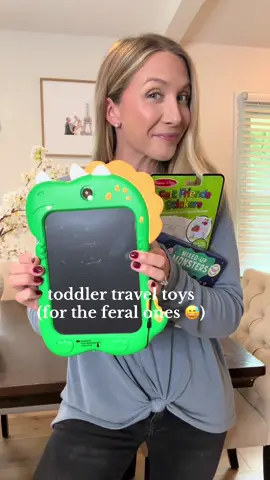 tried & true 🤌🏼 all set for a 5 hour flight! #travelingwithkids #toddlertravel #toddlermom #toddlertoys 