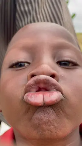 This guy 