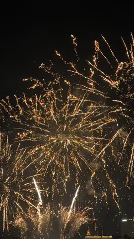 #rotterdam #vuurwerk #erasmusbrug #nederland #voorjou #fyp 