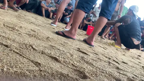 Đố Các idol Đây Là Trường Nào kkkk