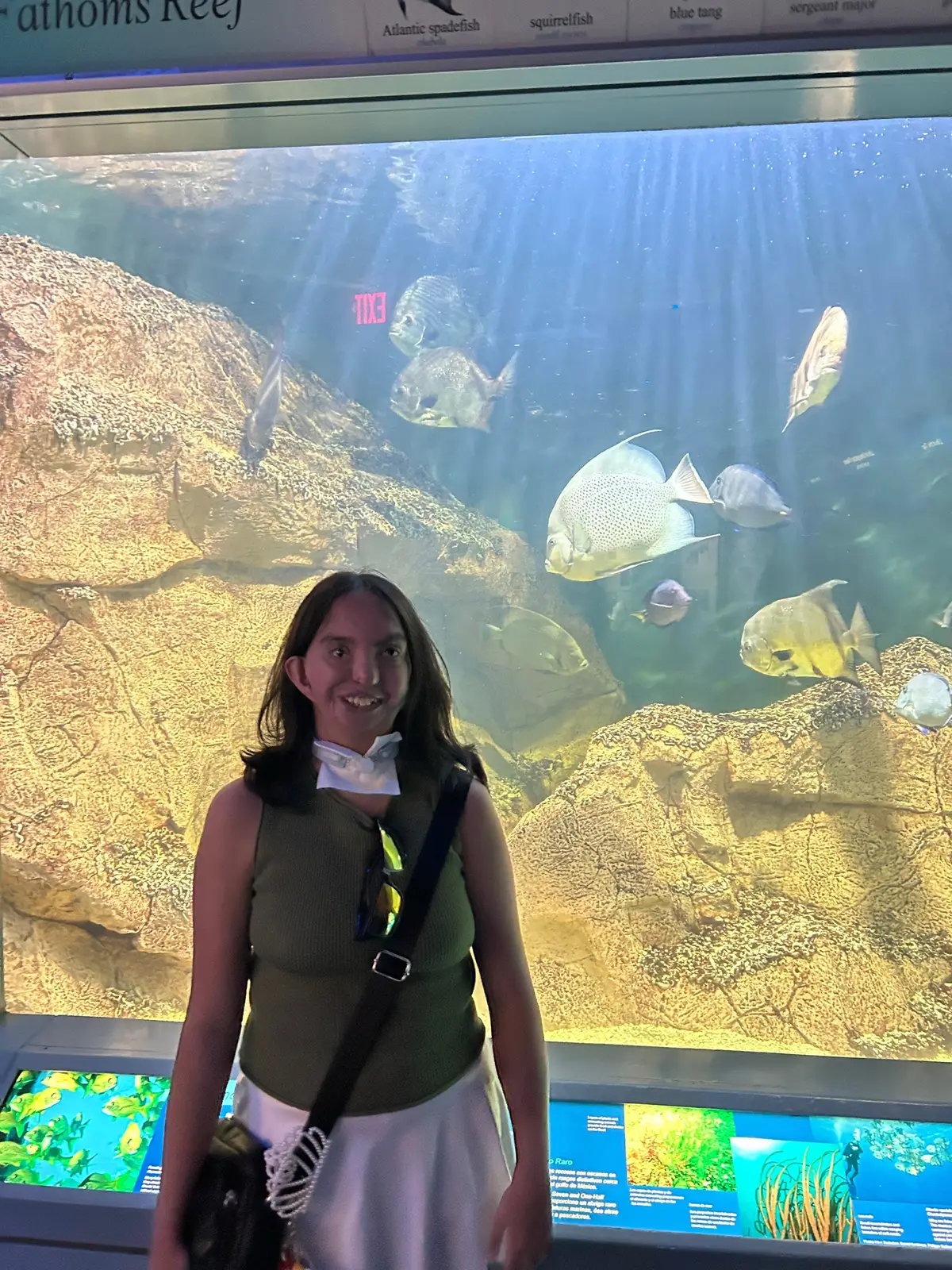 #roadtrip #corpuschristi #texasstateaquarium 