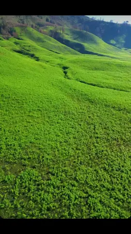 PESONA INDONESIA seindah ini savana, bromo 🥰 #bromotenggersemeru  #Djimavic #pesonaindonesia  #jawatimur #lewatberanda 
