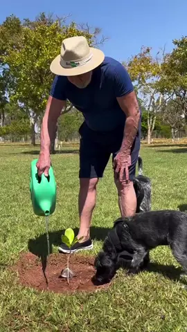 Planta que cresce. Bote água, bote amor. Tudo vai dar certo! É semear pra colher. Bora, Brasil 🇧🇷