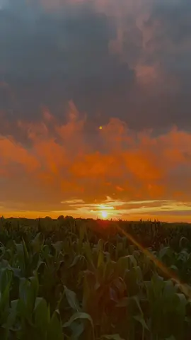 #atardecer #sunset #views #sunsetvibes #fyp 