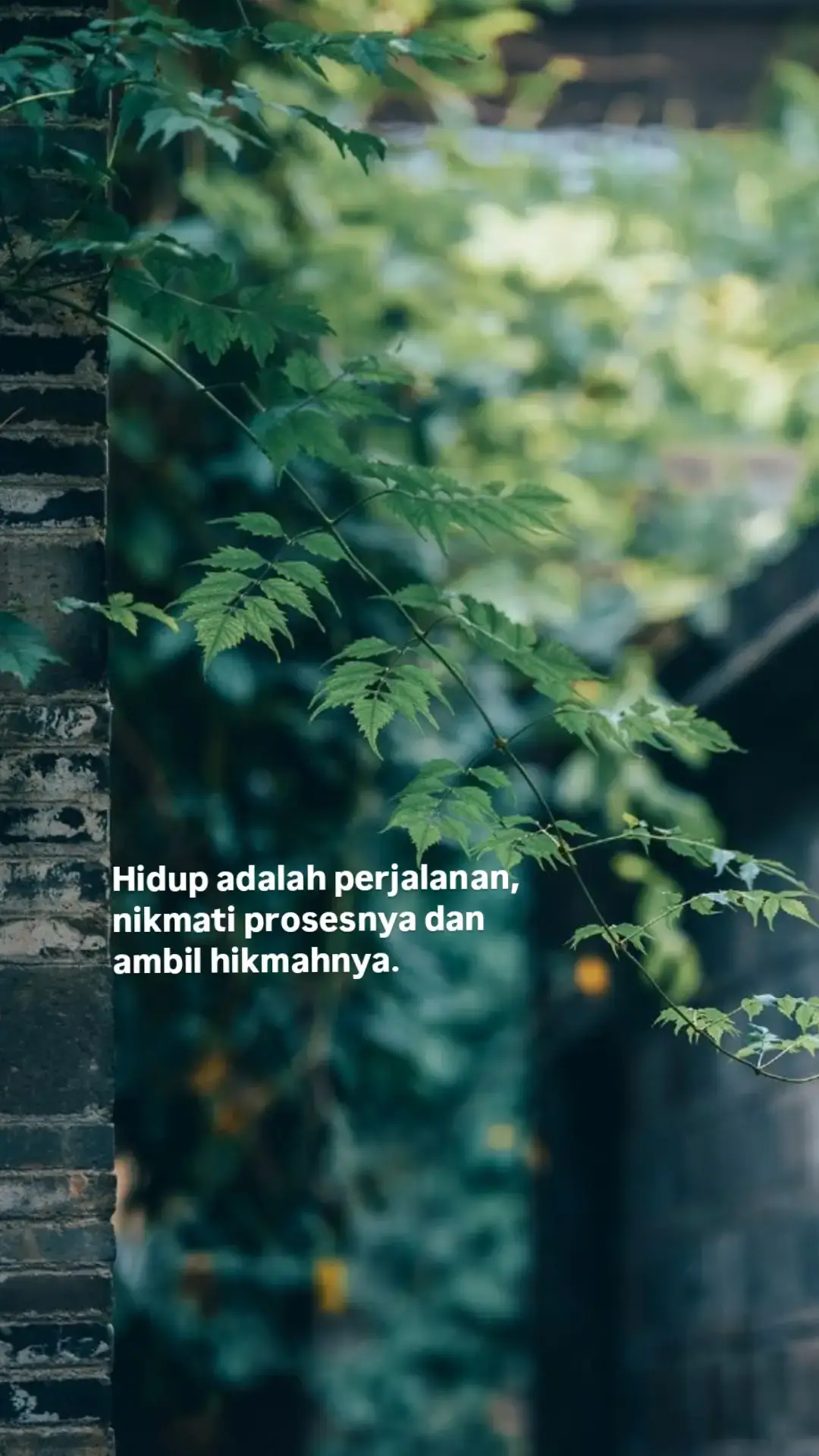 #DHOO17 #fypage #4u #foryou #bahanswmu 