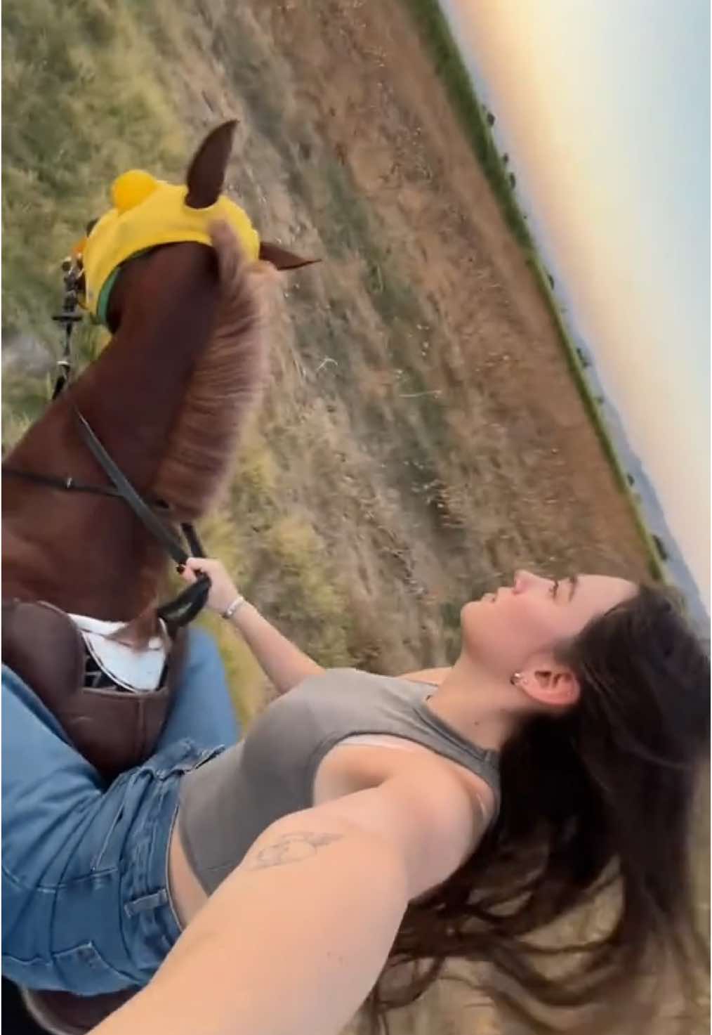 #kesfet #at #horse #fyppppppppppppppppppppppp 