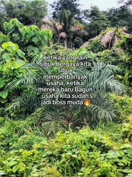 Bagun dulu usaha baru bergaya🤣#petanimuda #sawitkalimantan 