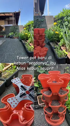 Tower pot baru di kebun 