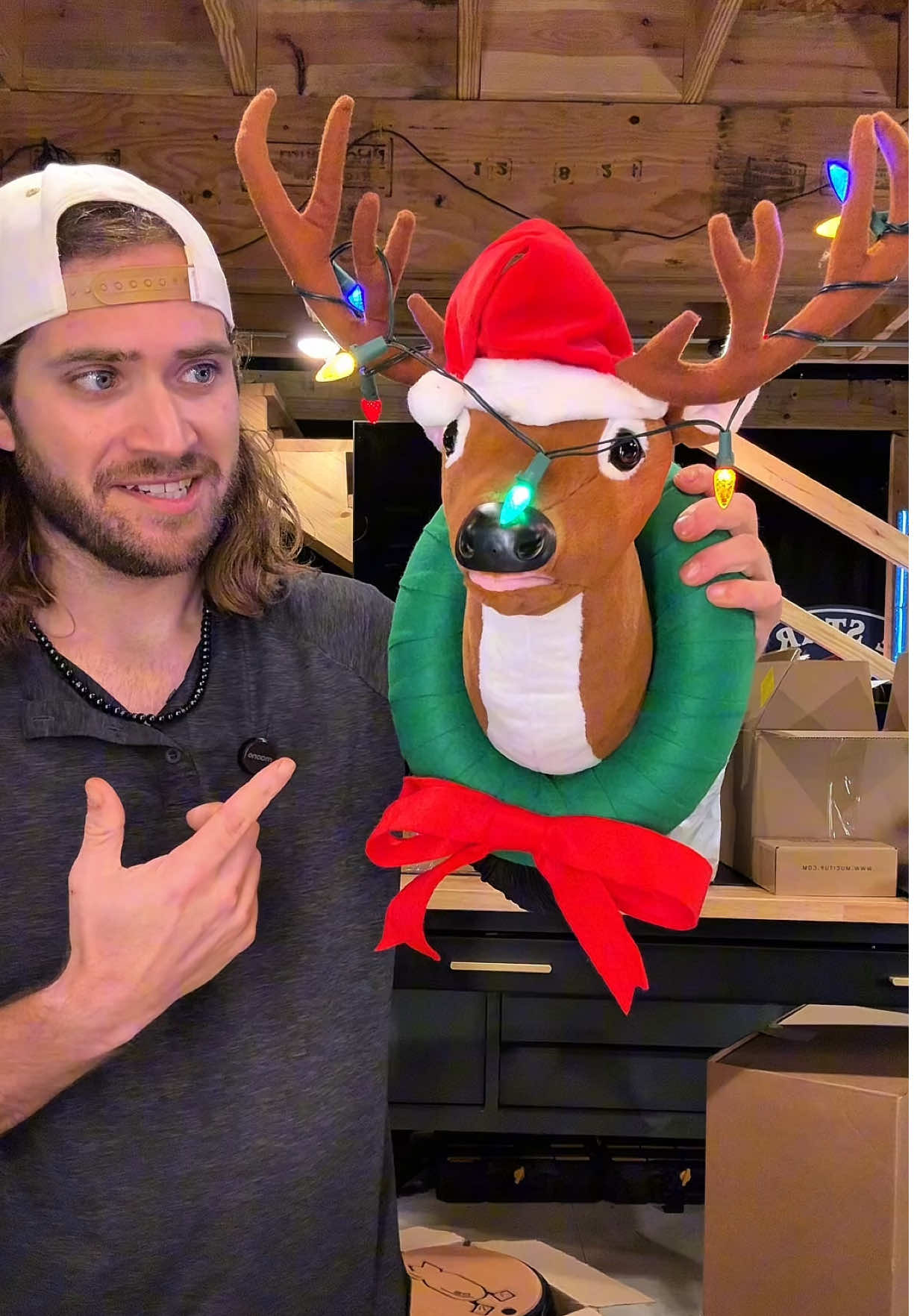 Mr Christmas Animated Reindeer #reindeer #christmasdecor #christmasdecorating #christmasdecorations #qvc 