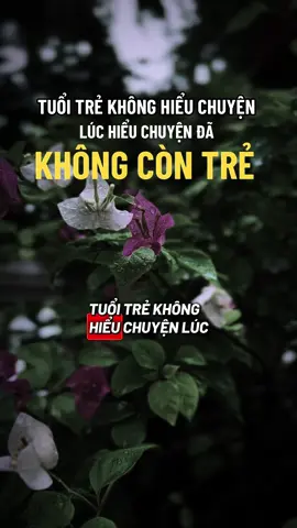 🪷☘️Ai cũng có sai lầm ở tuổi trẻ  #ngộ_để_an #phatphapnhiemmau #trending #xuhuongtiktok #cliptrieuview 