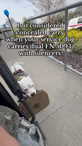Safest way to exit a police station with dual FN 509t with silencers @FnHerstalUSA #fn #veteran #silencer #pewpew #fyp 