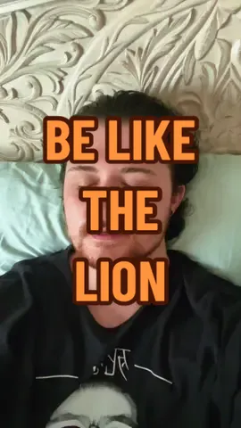 Enjoy a rare TikTok trend you delinquents. (Is this a trend? Or is my FYP just infected, who knows.)  #nerd #comics #funny #thelion 