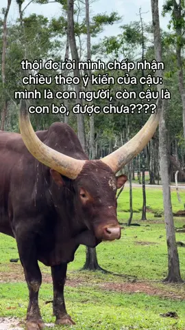 Chiều theo ý cậu đấy nha! #GreenCreator #VinWonders #dulich #xh #fyp 