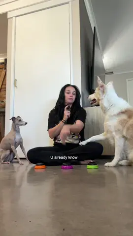 Happy Father’s Day to the dog dads