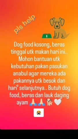 Ya tuhan betapa laparnya anabul ini. Kami kehabisan pakan untuk anabul adakah yang berkenaan membantu pakan anabul #beras #sedekah #anjing 