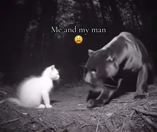 #man #bf #Love #fyp #viral 