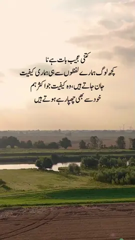 kitni ajeeb baat hai #ajeeb #baat #foryou #foryoupage #kainatqueen 