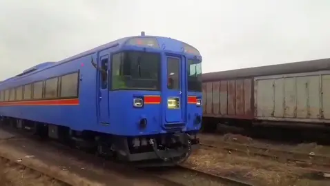Setelah SRT Thailand dan Royal Railway Cambodia mengoperasikan KRD kiha 183 ex JR Hokkaido. Akhirnya DRC Railway mengoperasikan juga setelah hampir 1 tahun dari kedatangan pertama kali ke DR Congo. Hal ini juga sekaligus membuka kembali layanan angkutan penumpang via kereta api di sana  #kiha183 #jrhokkaido #krd #キハ183系 #fyppppppppppppppppppppppp 
