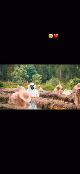 @Official Geda Hamda @Aslii Oromia❤️🌳❤️ @Dr Mubarikmusama1 @IBSISHAGO🦋🤍 @Rache Tesfaye #oromotiktok❤️💚❤️ethiopiantik #musica 