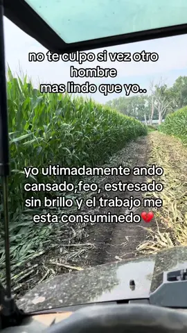 #fracesbelicas☘️📿 #f 