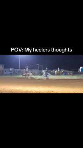 #CapCut #teamroping 