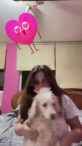#cocker #miviejita❤️ #mikaela #11añitos #laamotanto